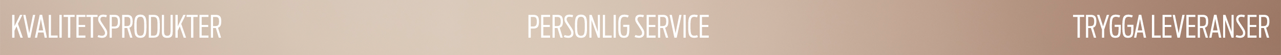 Liten banner